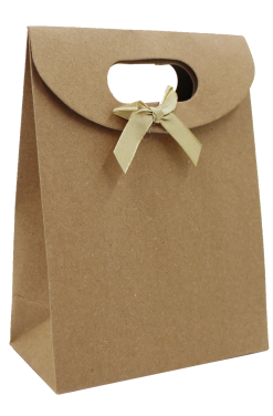 Carton bags with velcro